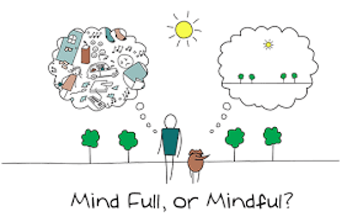 Mindfulness Meditation in a Nutshell